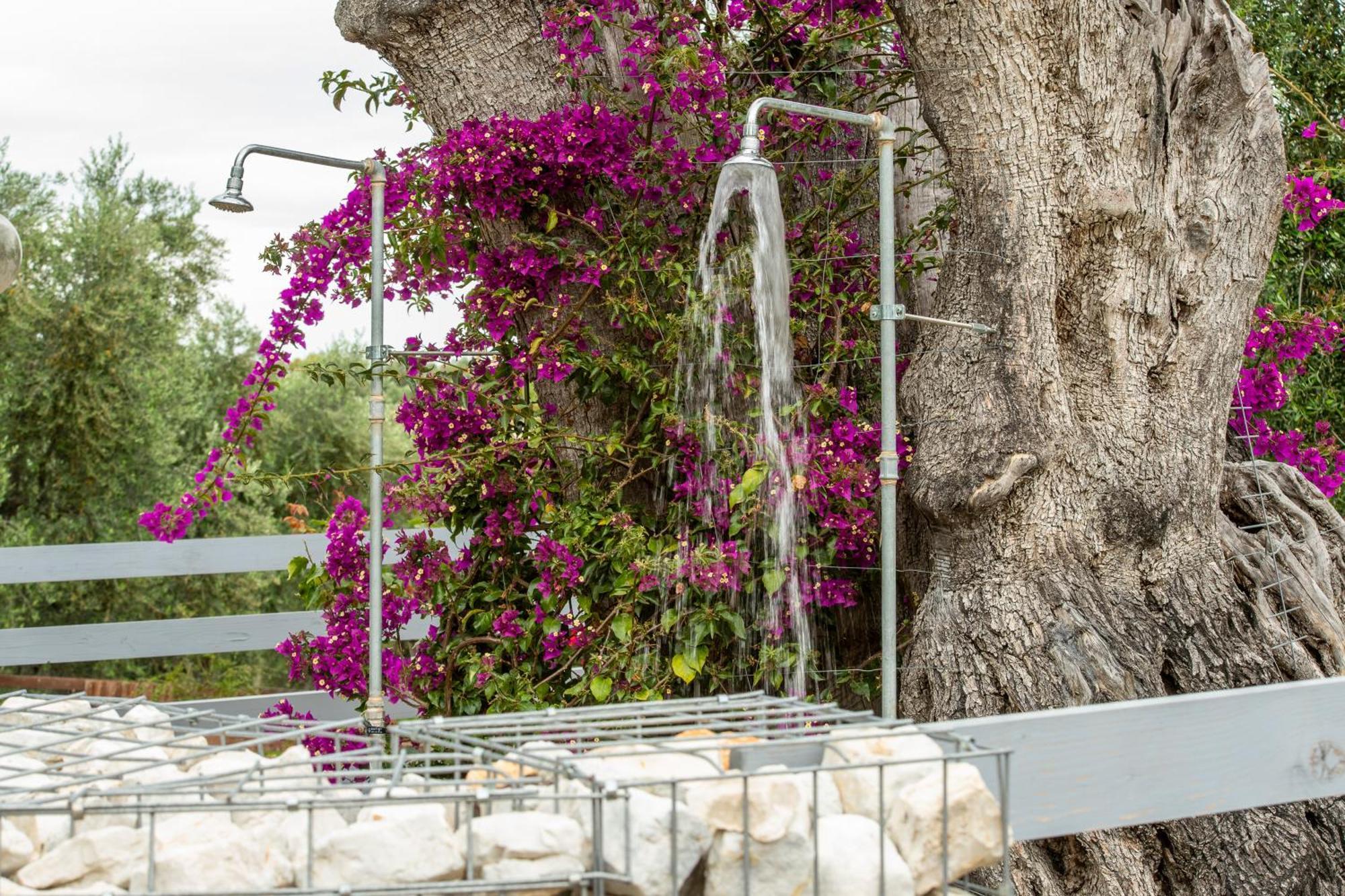 Agriturismo Passione Natura В'єсте Екстер'єр фото