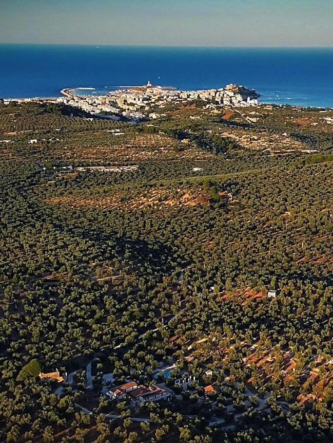 Agriturismo Passione Natura В'єсте Екстер'єр фото